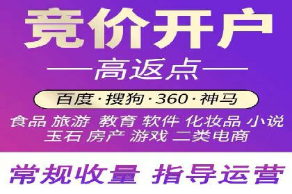 搜索引擎竞价推广实战：行业领先企业的成功秘诀