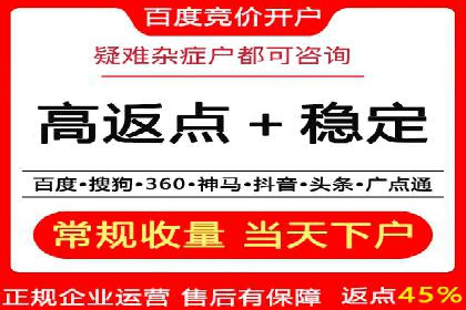 竞价广告的创意与执行：一则经典案例剖析